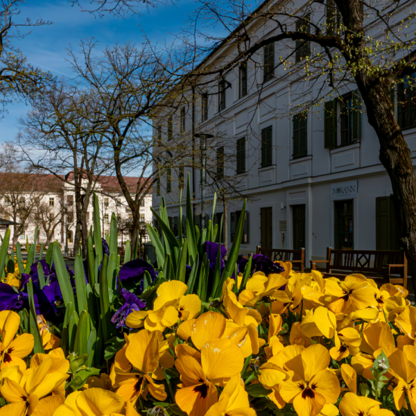 Horváth villa apartman